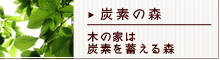 炭素の森